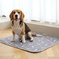 Happy dog standing on a grey reusable pee pad