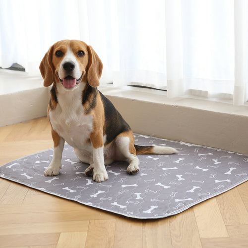 Happy dog standing on a grey reusable pee pad